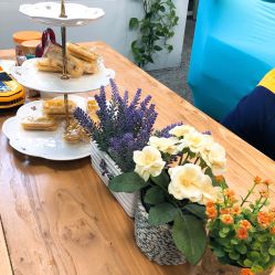 -斐尔国际皮肤管理中心