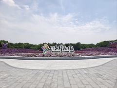 -上海鲜花港