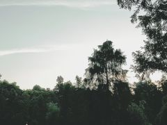 -重庆彩云湖湿地公园