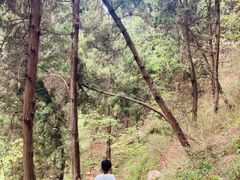 -金堂县云顶石城风景区