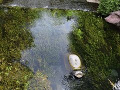 -水磨沟公园
