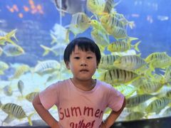 -烟台海昌鲸鲨海洋公园