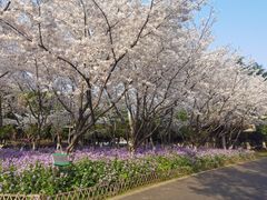 -白塘生态植物园