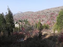 -石门坊