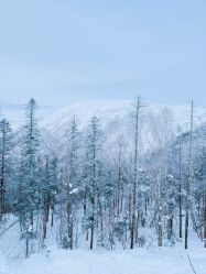 -大秃顶子山