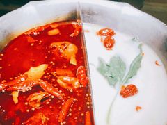 鸭血老豆腐-湊湊火锅·茶憩(石家庄万象城店)