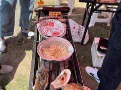 -春花秋色城市公园