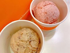 -iceason爱茜茜里·意大利健康冰淇淋(骑龙巷店)