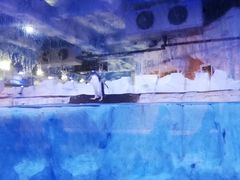 -芜湖新华联大白鲸海洋公园