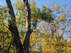 -藏龙百瀑风景区