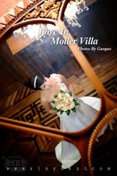 -张涛·欣悦造型