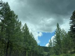 -塞罕坝国家级自然保护区