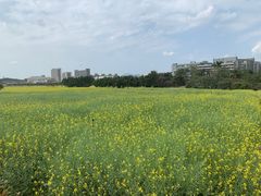 -光明小镇欢乐田园