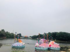 -映月湖公园