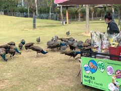 -南京金牛湖风景区