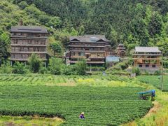 -程阳八寨景区