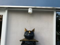 门面-飞行喵MR PILOT|猫舍·猫咖(静安大融城店)