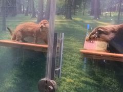 -下渚湖国家湿地公园科普馆