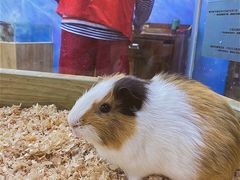 -昆明大悦城未来动物城(螺蛳湾中心店)