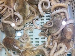 -宝燕壹号(徐汇店)