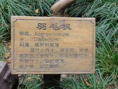 -秋霞圃