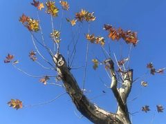 -沐森 •疗愈头疗馆(打浦桥店)
