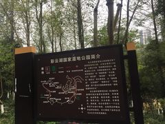 -重庆彩云湖湿地公园