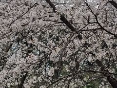 -苏州上方山国家森林公园