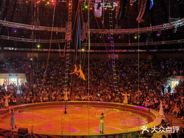 俄罗斯国家大马戏团图片