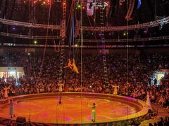 -俄罗斯国家大马戏团