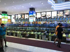 -欢乐海岸美食联盟