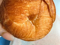 -BLACKSWAN黑天鹅(环球店)