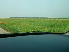 android_upload_pic-太平河公园