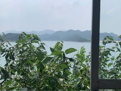 -望湖烤鱼