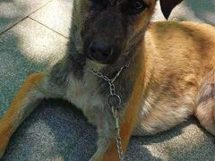 -康乐宝动物医院