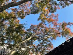 -惠山古镇·寄畅园