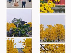 -光孝寺