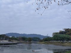 -滨海公园