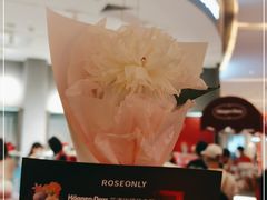 -ROSEONLY诺誓(广州K11店)