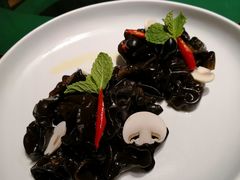 捞汁木耳-九十九顶毡房(阜石路店)