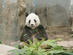 -香港海洋公园
