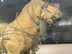 -秦始皇帝陵博物院-丽山园