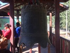 -呀路古热带植物园
