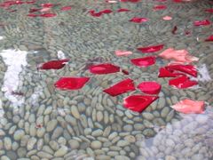 日月谷温泉渡假村-厦门日月谷温泉渡假村