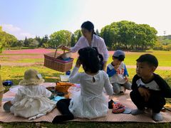 -福建鲤鱼洲酒店