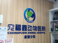 -宠福鑫康馨动物医院·骨科·眼科