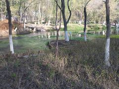 -水磨沟公园