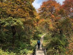 -灵山