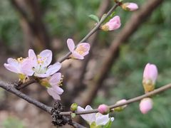 -西安市纺织公园