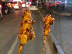 鸡肉小串-辽B·小串(总店)